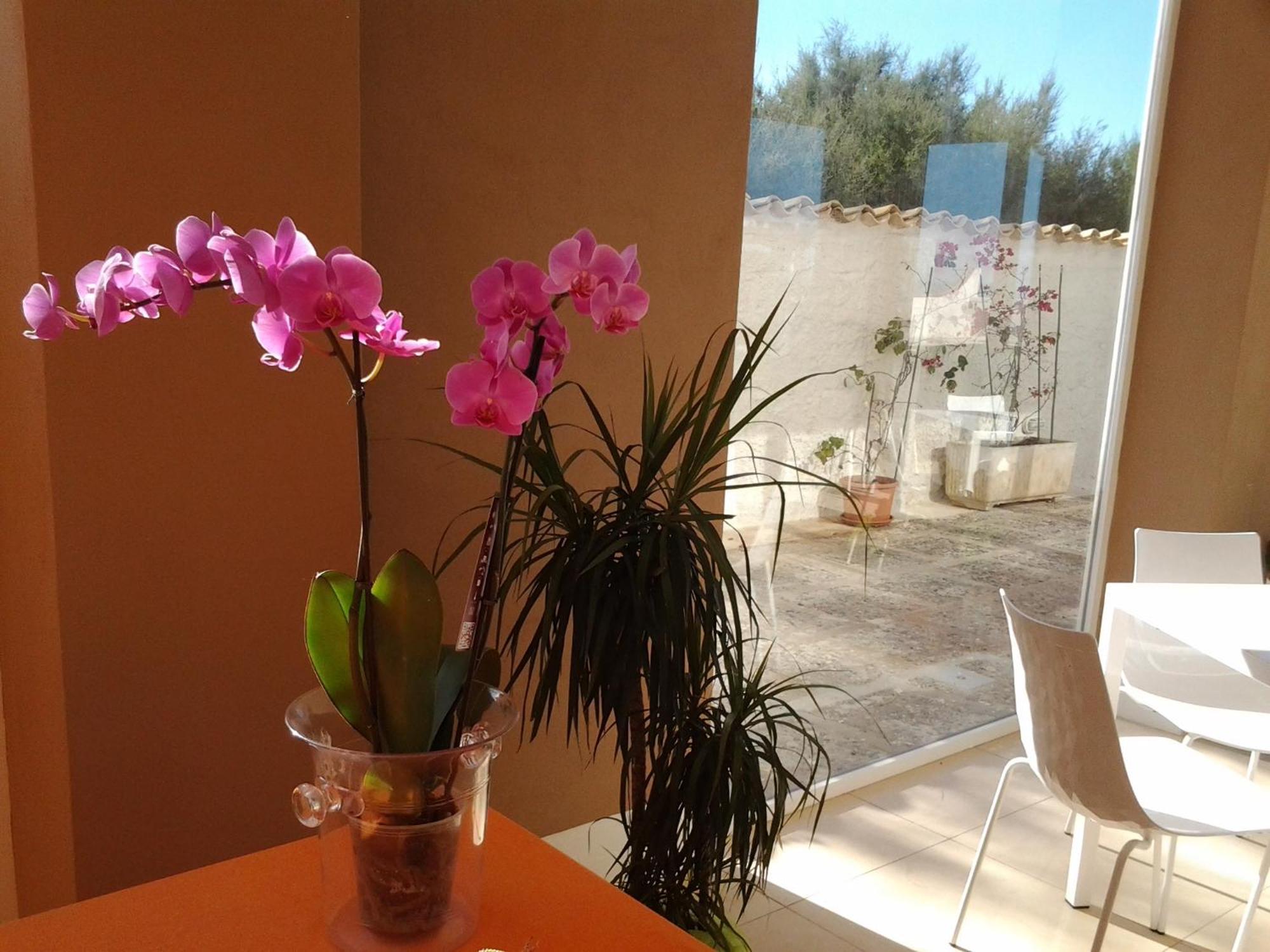 Suitebeach B&B And Resort Марсала Екстериор снимка